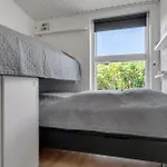 Gorgeous In Sydals With Sauna * Nedre Lysabild